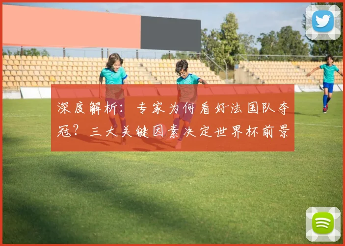 深度解析:专家为何看好法国队夺冠?三大关键因素决定世界杯前景